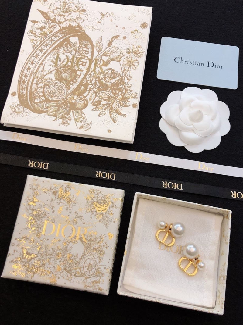 Christian Dior Earrings